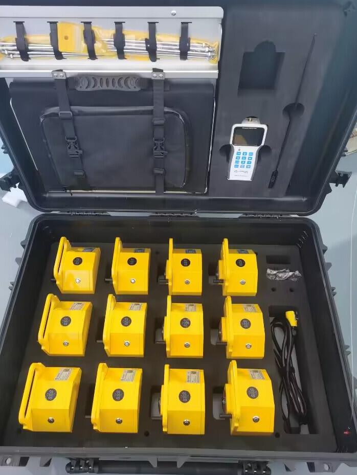 Portable runway lights